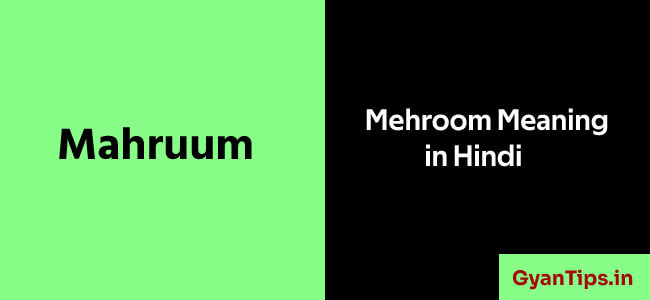 Mehroom Meaning in Hindi
