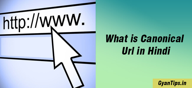 What is Canonical Url in Hindi
