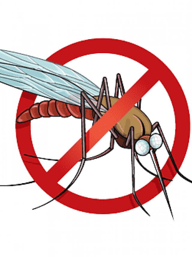 राष्ट्रीय मलेरिया दिवस क्यों मनाया जाता हैं – GyanTips