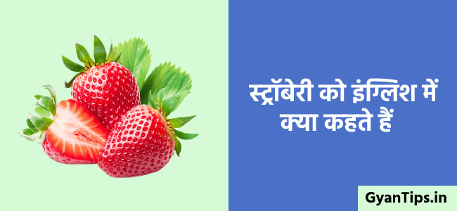 स्ट्रॉबेरी को इंग्लिश में क्या कहते हैं