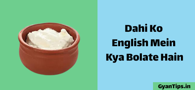 Dahi Ko English Mein Kya Bola Jata Hai