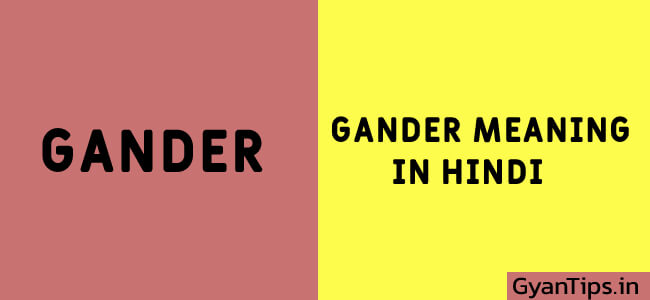 Jaaniye Gander Meaning in Hindi